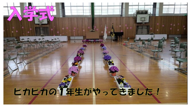 入学式2