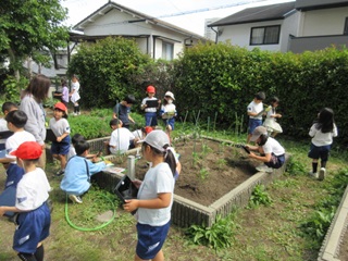 2年