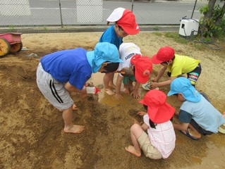土山で遊んでいる子どもたちの写真