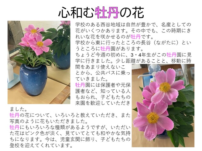 botan