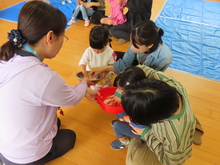 小麦粉粘土