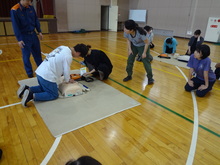 写真