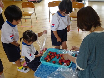 すもも
