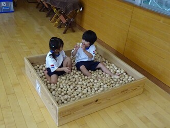 木育