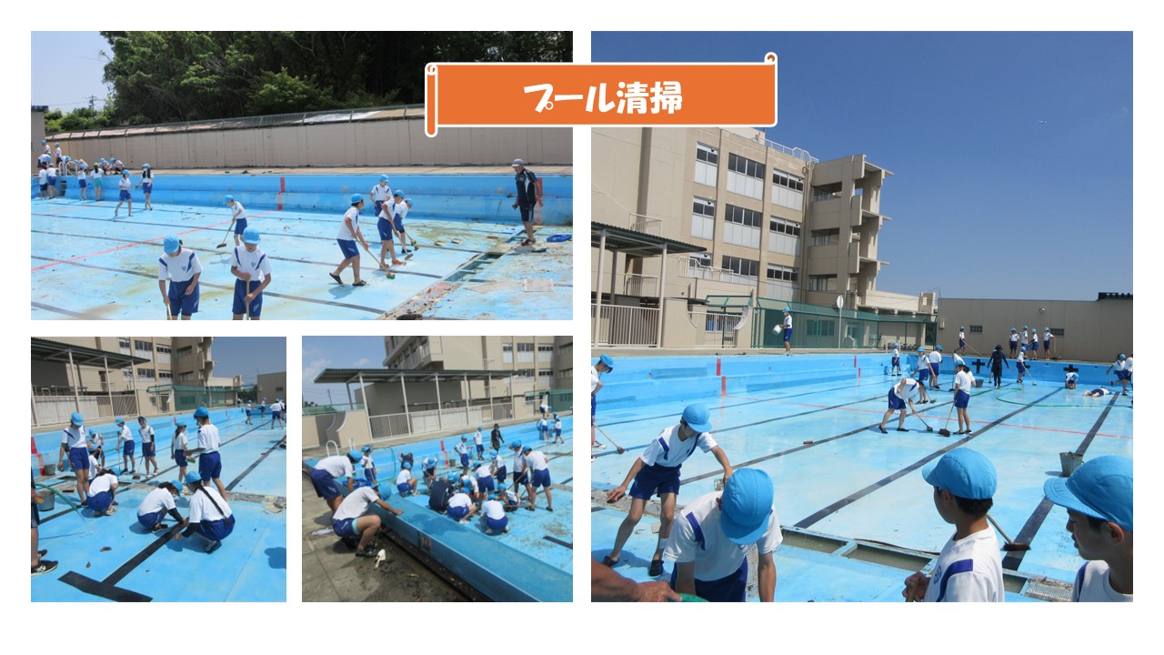 プール掃除の様子