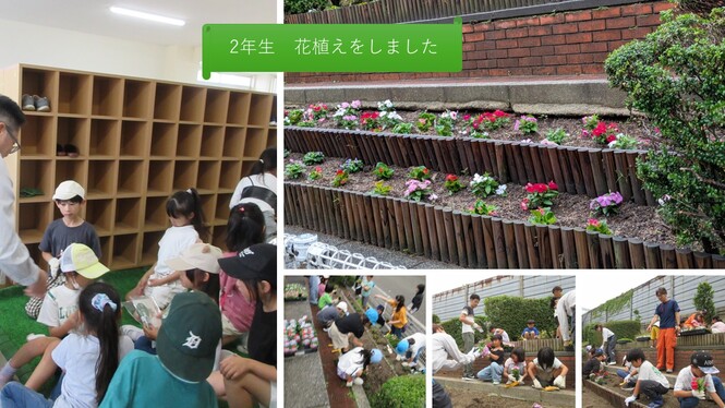 花植えの様子