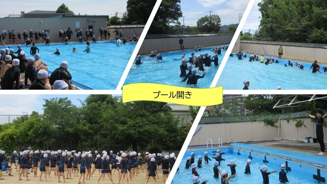 プール水泳をしているところ