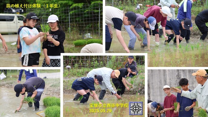 活動の様子