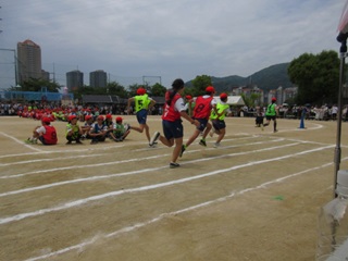 6年
