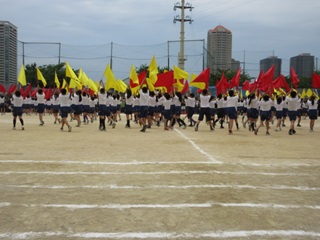 6年