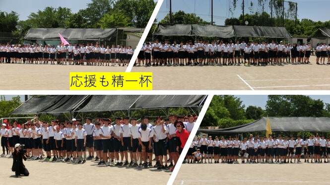 大会15