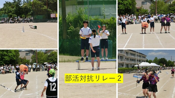 大会17