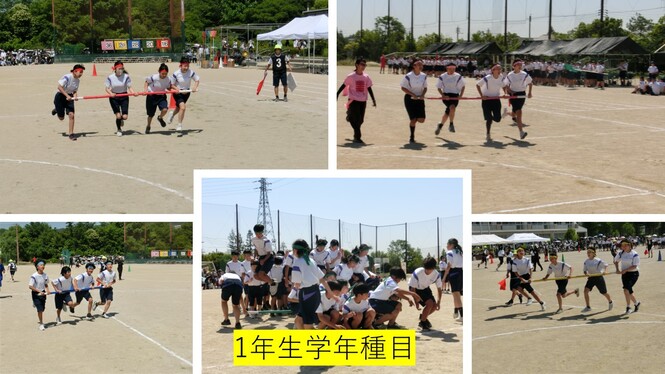 大会5