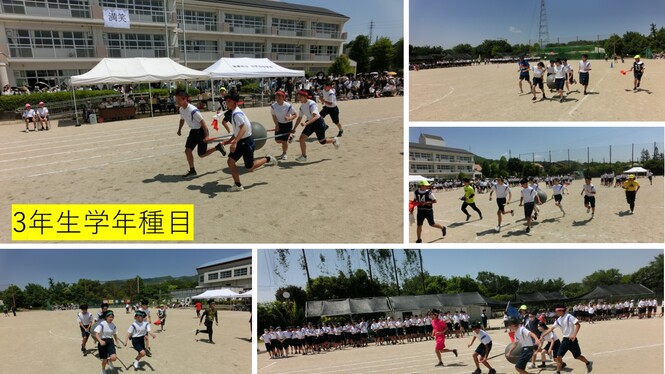 大会7