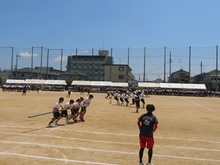 体育大会