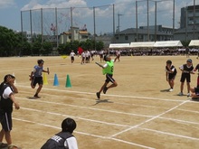 体育大会