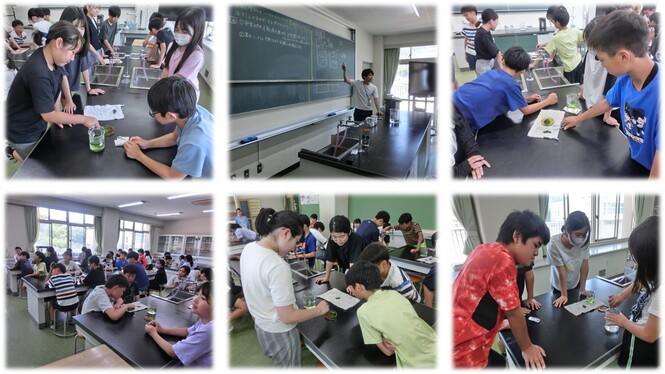 光合成の実験の様子