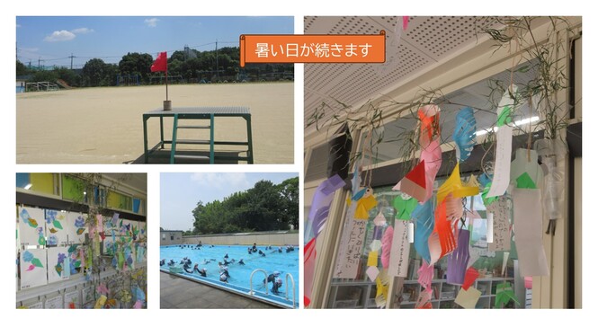7月7日七夕