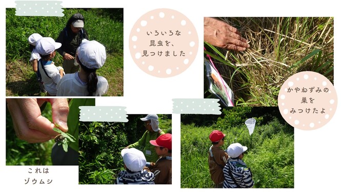 昆虫や植物を実際に触って学習します。