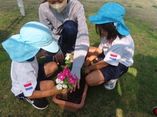 花の苗