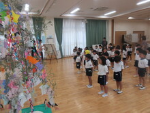 たなばた3