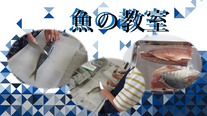 魚の教室