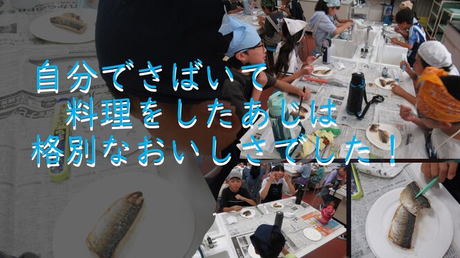 魚の教室