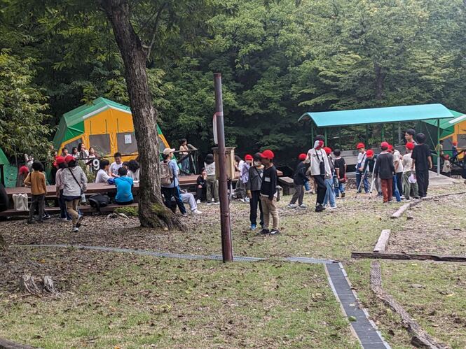 5年