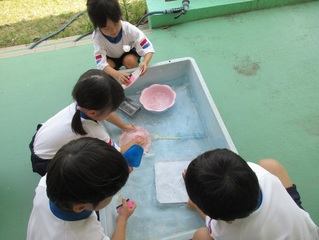 片付けをしている子どもたちの写真