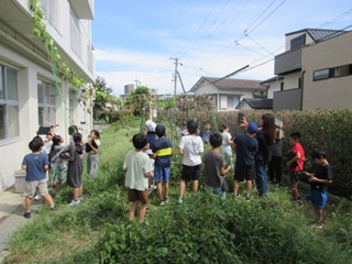 4年