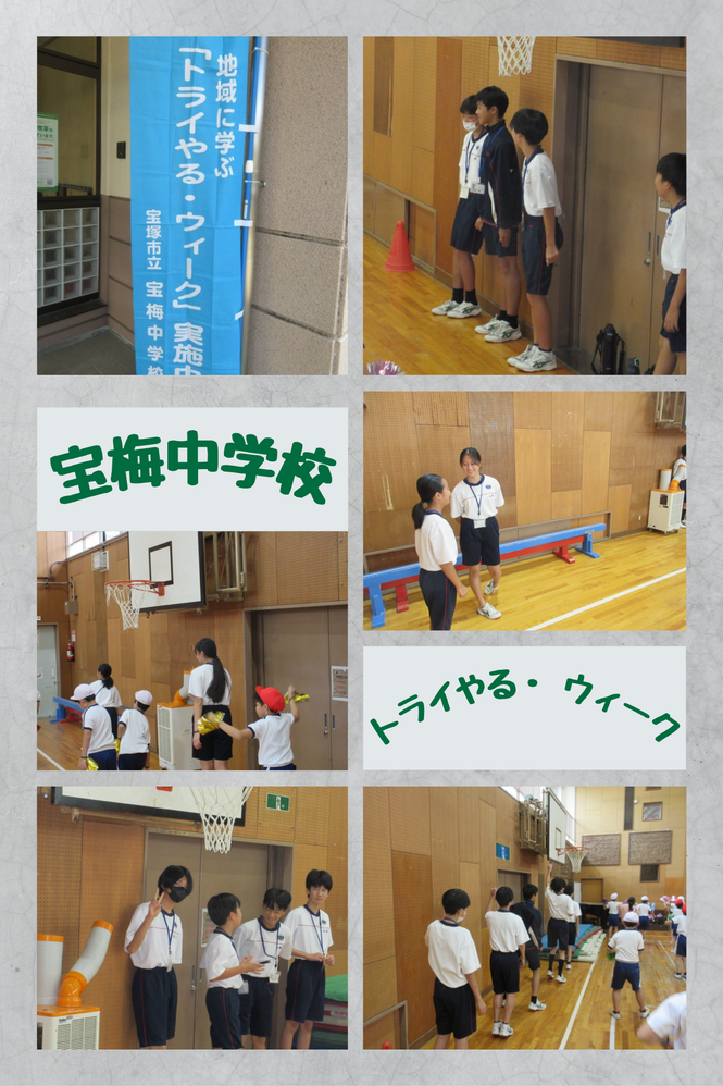 トライ