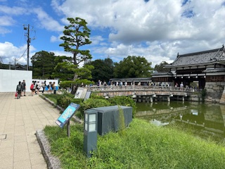 6年