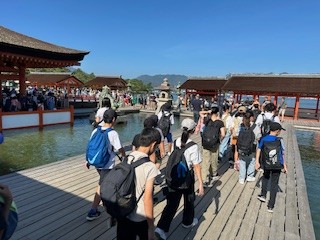 6年