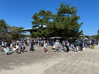 6年