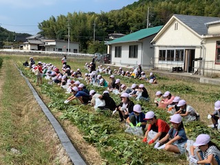 3年