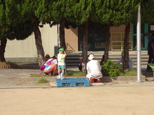 写真
