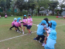 うんどうかい予行