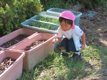 うんどうかい遊び