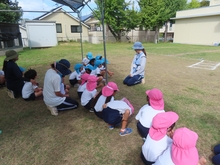 うんどうかい遊び