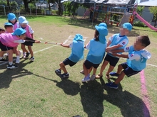 うんどうかい遊び