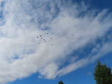 うんどうかい予行