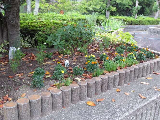 花壇左
