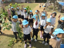 いっぱいとれたよ！