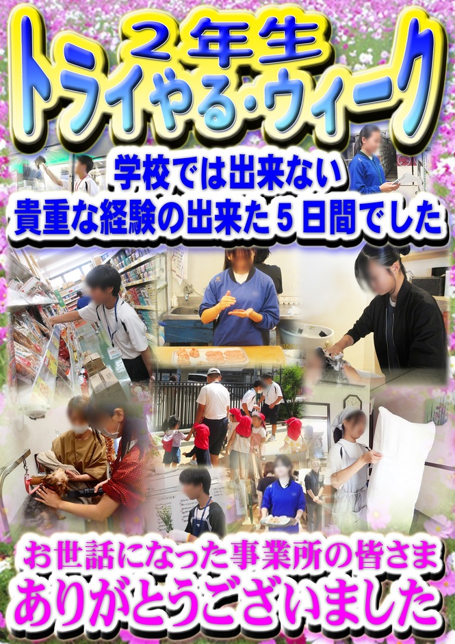 トライやる表紙