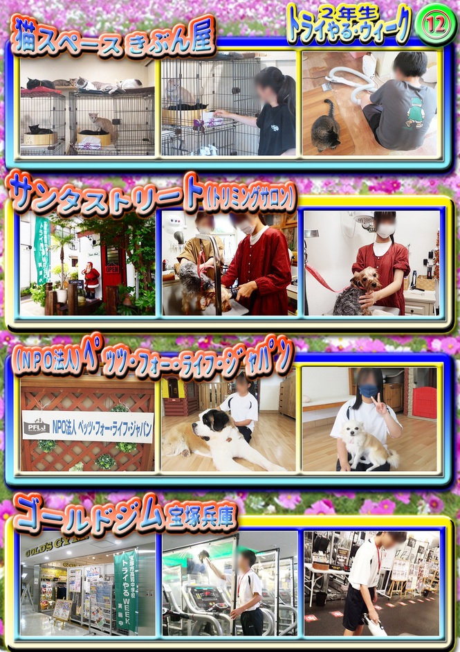 トライやる12