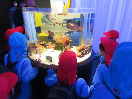 水族館で過ごしている子どもたちの写真
