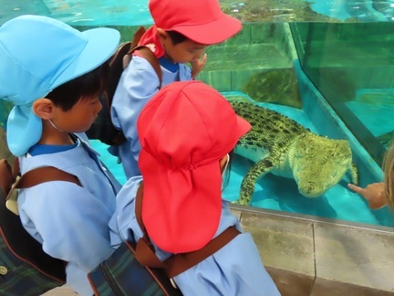 水族館で過ごしている子どもたちの写真