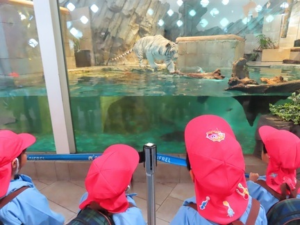 水族館で過ごしている子どもたちの写真