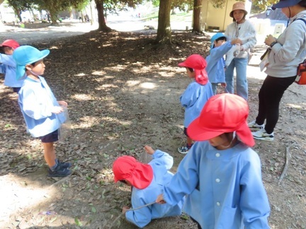 木の実拾いをしている子どもたちの写真
