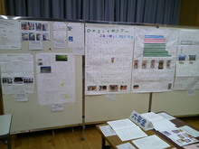 夏休み作品展写真